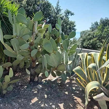 In Venezuela Piano Terra Appartamento Porto di Maratea